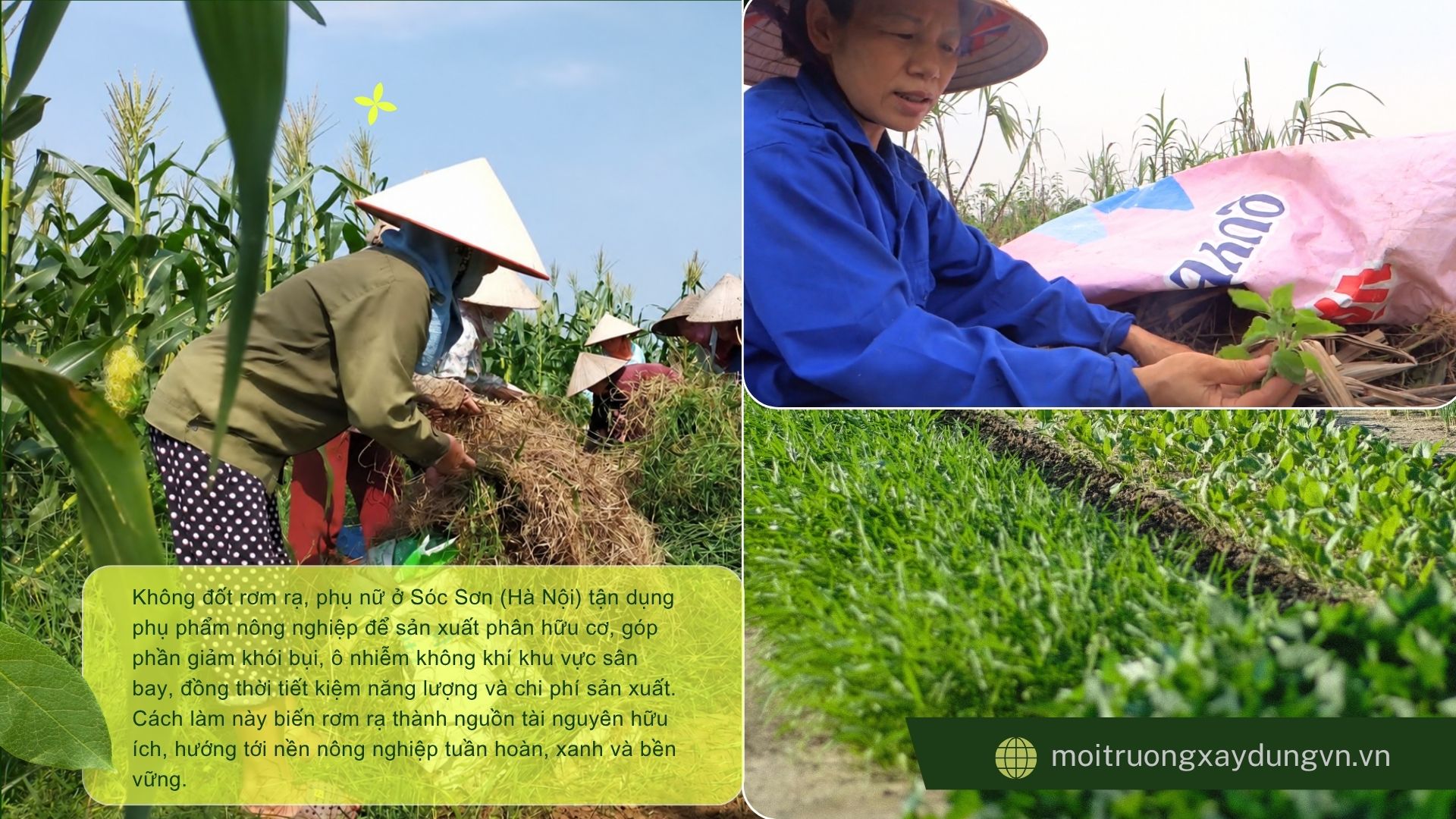 Nông nghiệp tuần hoàn - Tiết kiệm tài nguyên, Tạo sinh kế bền vững  Bài 1: Tạo sinh kế từ phụ phẩm nông nghiệp